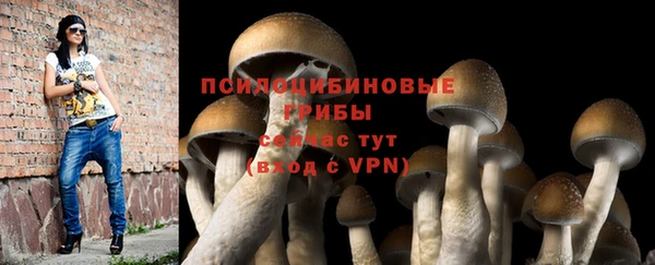 скорость Михайловка