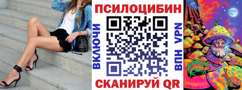 цены   Оленегорск  Галлюциногенные грибы Psilocybine cubensis 